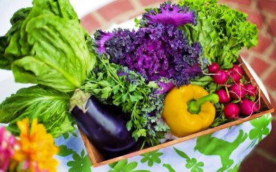 The 6 Key Things to Do to Outsmart Alzheimer’s