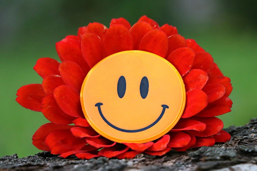 smile-1539196_1280