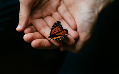 Moments of Clarity When Caring for a Loved One with Alzheimer’s