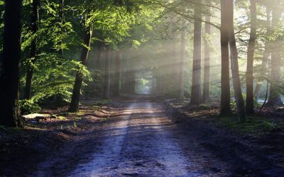 How to Deal With the 3 Most Painful Situations Alzheimer’s Caregivers May Face