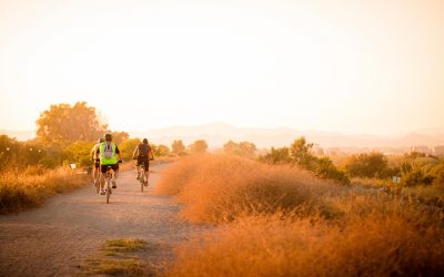 5 Lifestyle Changes That Keep Your Brain Sharp at Any Age