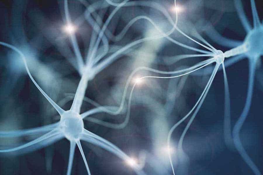 The Women’s Alzheimer’s Movement Awards Seven Grants to Accelerate Gender-Based Research in Alzheimer’s Disease