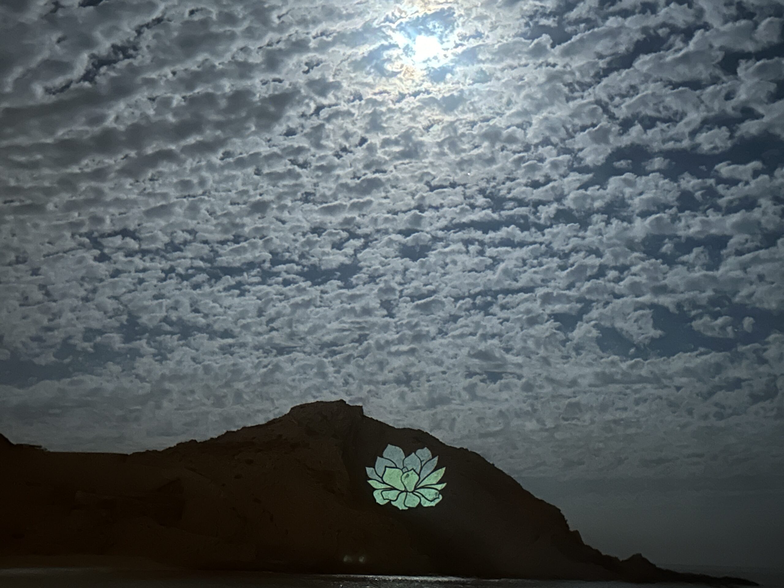 Mary Catherine, a blonde woman in middle age wearing a blue sweater, leans affectionately towards her husband, Greg, also middle aged. He has white hair and wears glasses, He is also wearing a blue sweater.